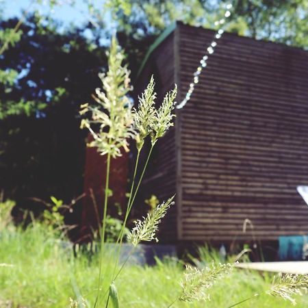 Tiny House Nouvelle Annonce Boho Ocean Hotel Naujac-sur-Mer Exterior foto